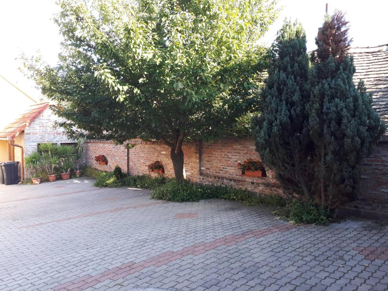 מלון Villány Eckhardt Vendeghaz מראה חיצוני תמונה